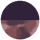 Plum + Petal Tort - Smoke Lens