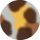 Monarch Tortoise - Smoke Lenses