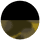 Black + Blonde Tort