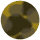 Blonde Tortoise - Brown Lens