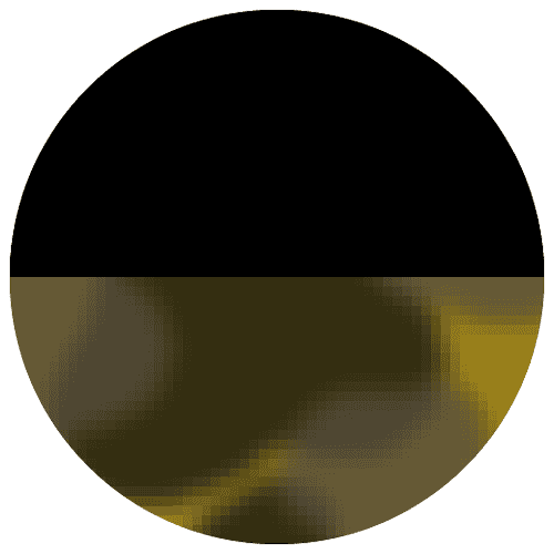 black-blonde-tort