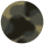 Pearl Noir Tortoise - Smoke Gradient Lens