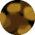 Redwood Tortoise - Smoke Gradient Lens