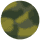 Gator Tortoise - Smoke Lens