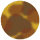 Pine Tortoise