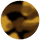 Tobacco Tortoise - Brown Lens